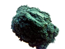 blue-green-algae.jpg