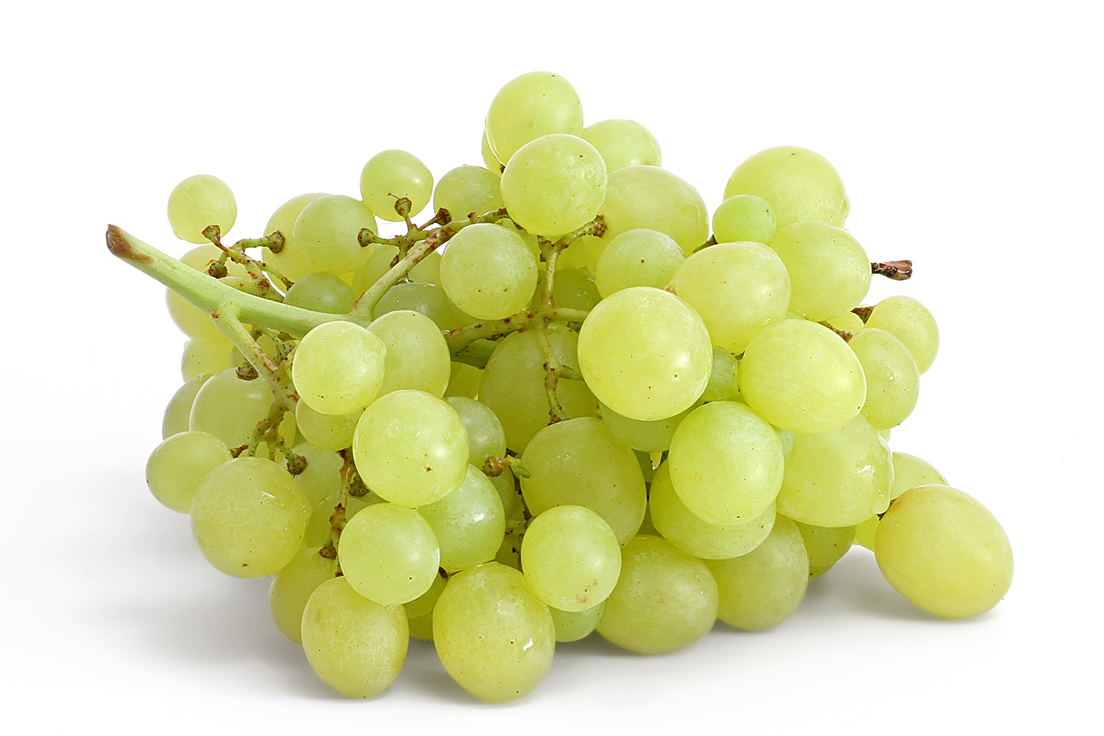 grapes_on_white.jpg